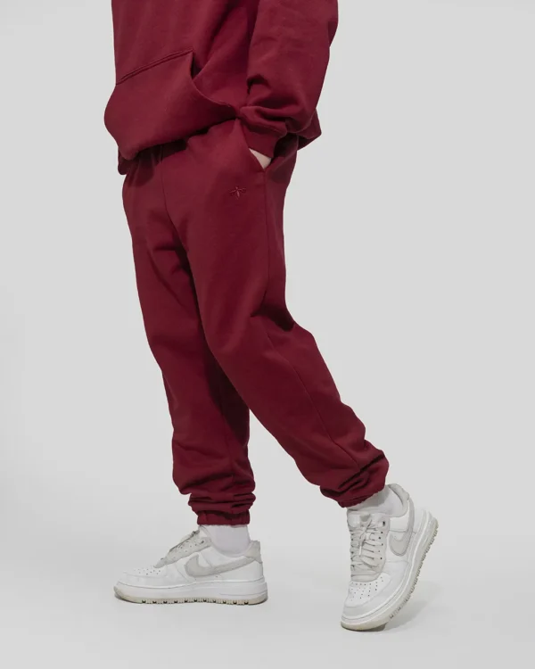 CORE JOGGER IN BORDO - Image 4