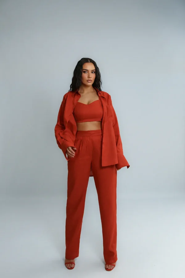 LINEN ROOTS PANTS IN CINNAMON - Image 3